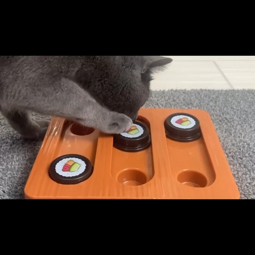 Quirky Kitty 🍱 Sushi Hunter Bento Box Puzzle